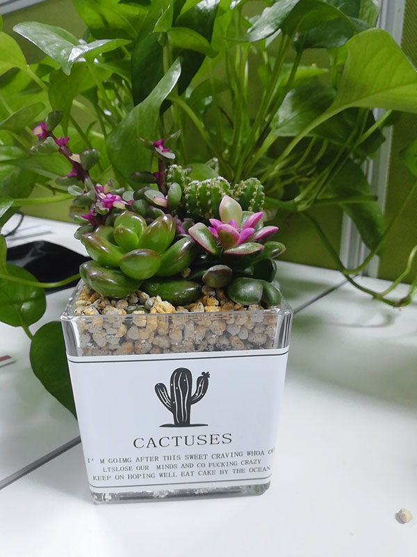 女神節(jié)禮品 女神節(jié)禮品